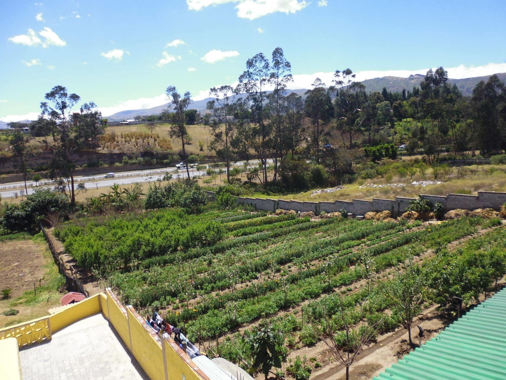 טבבלה Hotel Residencial El Viajero מראה חיצוני תמונה